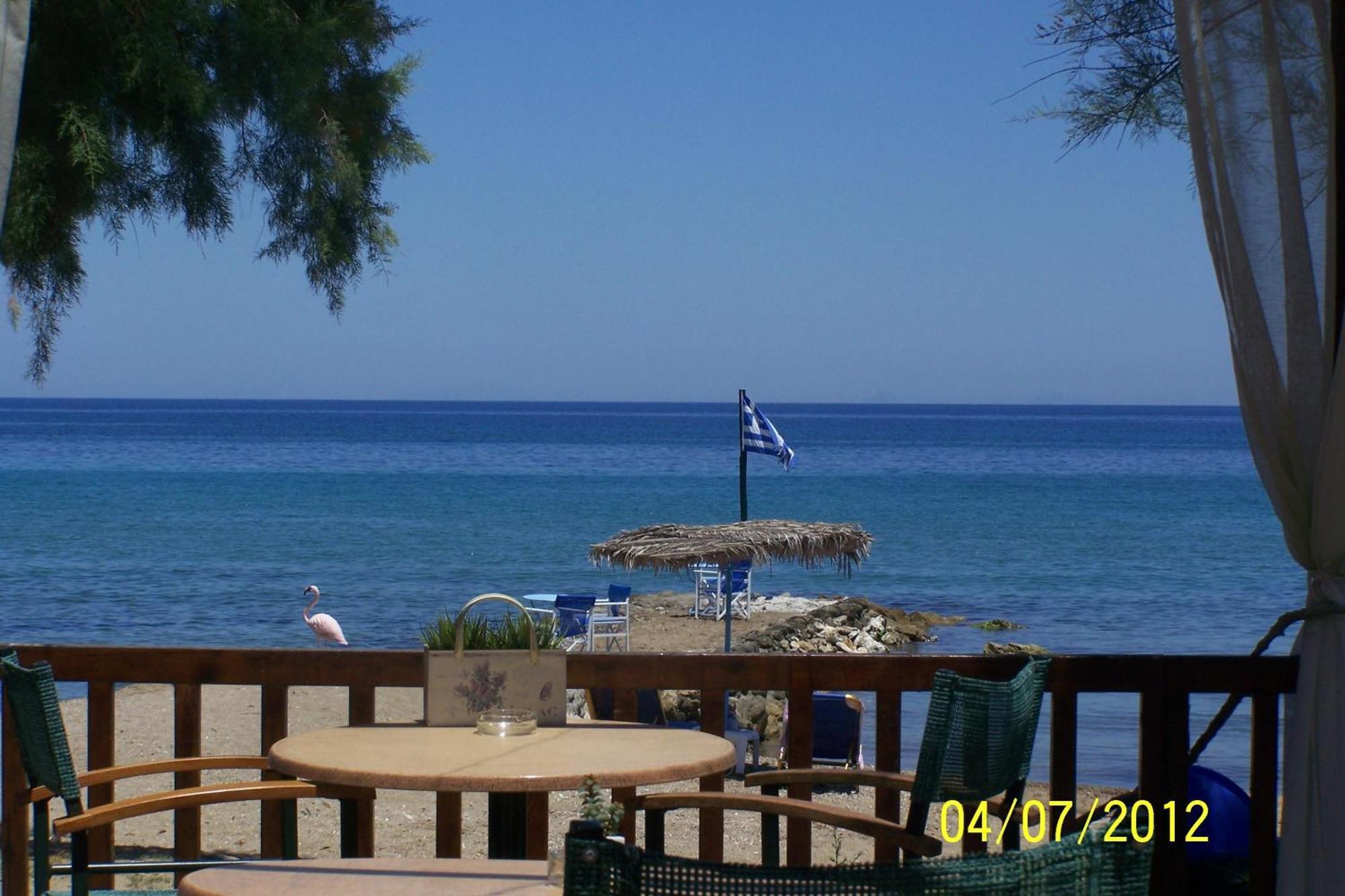 Apartment Fiore Hill Sea View Studios Vasilikos (Zakynthos)