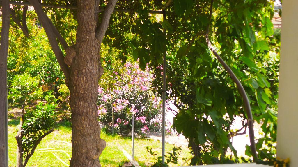 Apartment Fiore Hill Sea View Studios Vasilikos (Zakynthos)