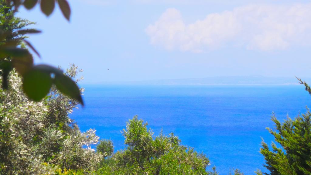 Apartment Fiore Hill Sea View Studios Vasilikos (Zakynthos)