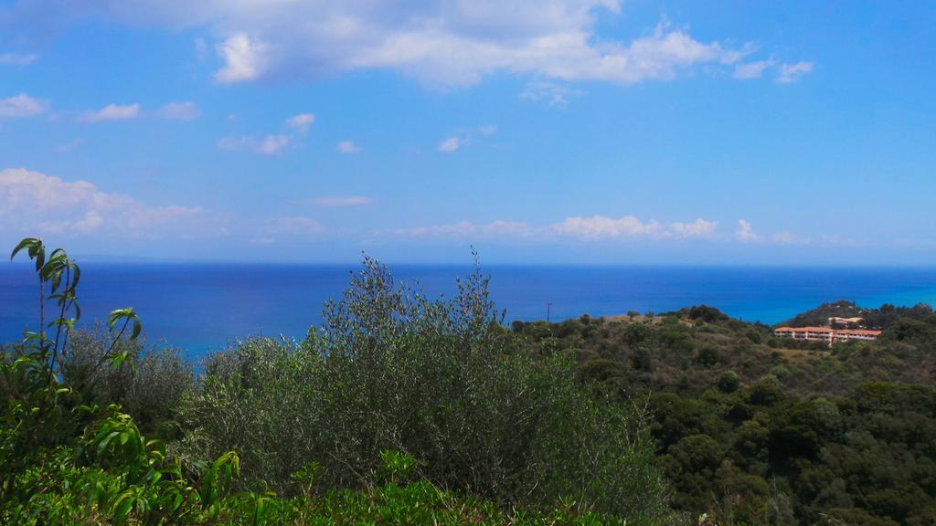 Fiore Hill Sea View Studios Vasilikos (Zakynthos)